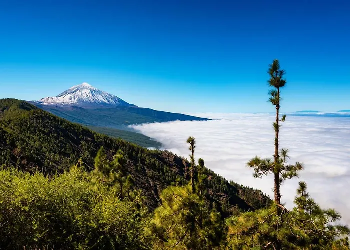 Casa Tia Julia, Vivienda Independiente 4 Pax En Playa Teresitas Casa de Férias