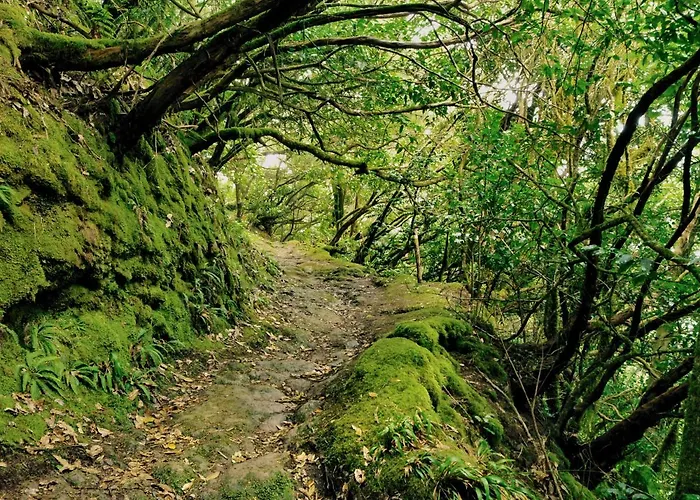 Casa Tia Julia, Vivienda Independiente 4 Pax En Playa Teresitas San Andres (Tenerife)